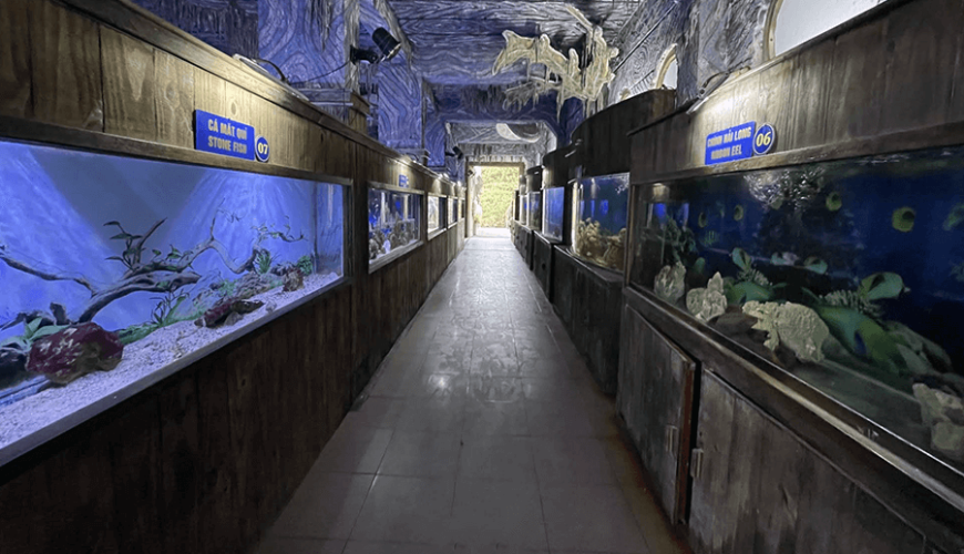 Tri Nguyen Aquarium