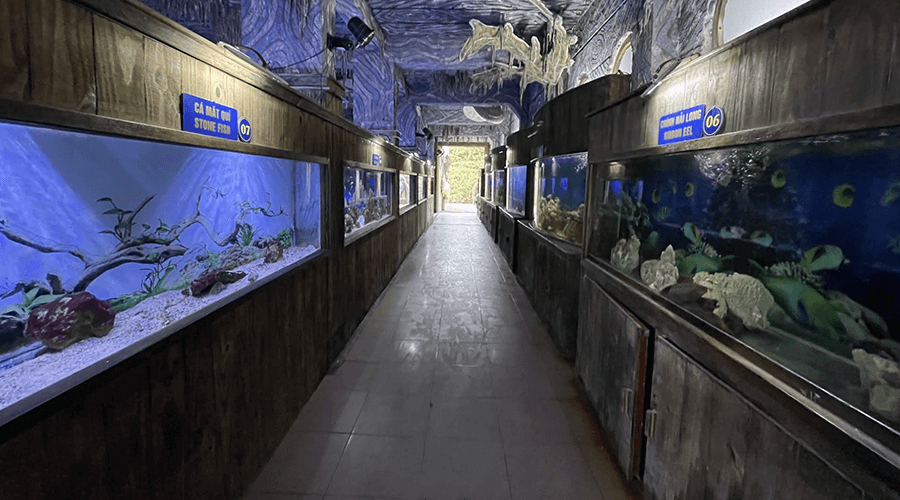 Tri Nguyen Aquarium