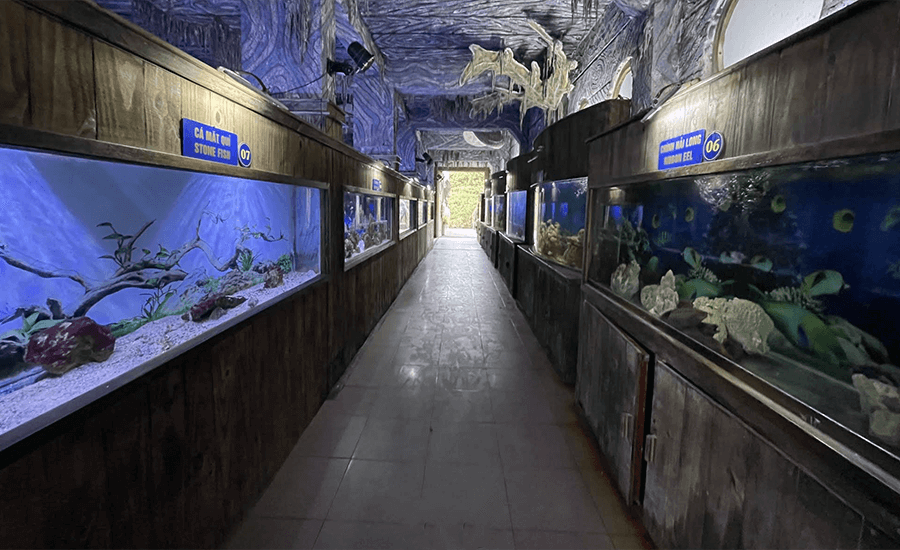 Tri Nguyen Aquarium