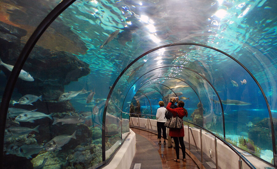 Tri Nguyen Aquarium