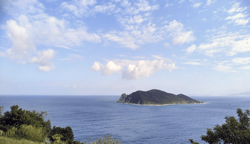 Vung Ro Bay
