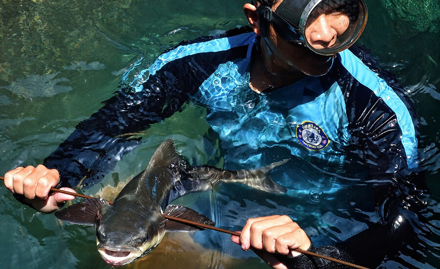 Nui Chua National Park