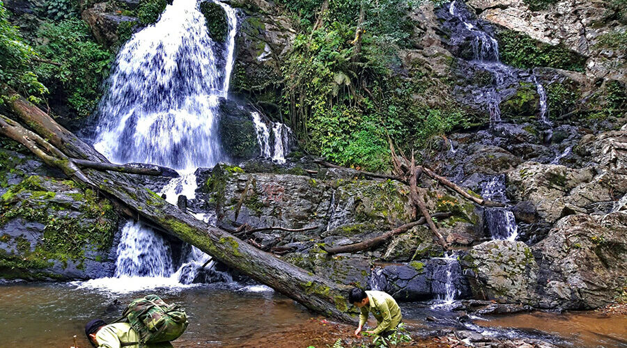 Chu Yang Sin National Park