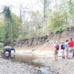 Yok Don National Park