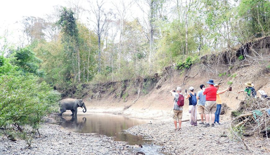 Yok Don National Park