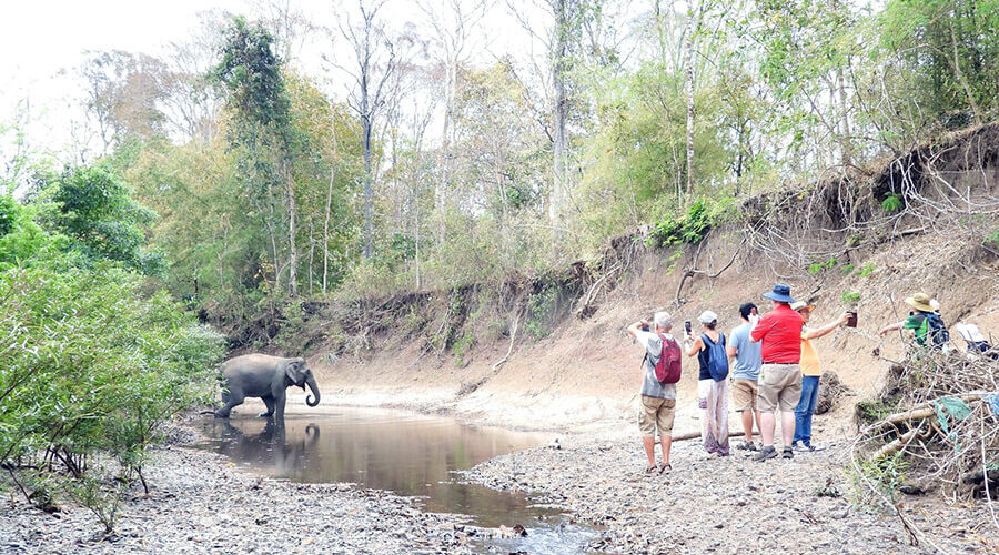 Yok Don National Park