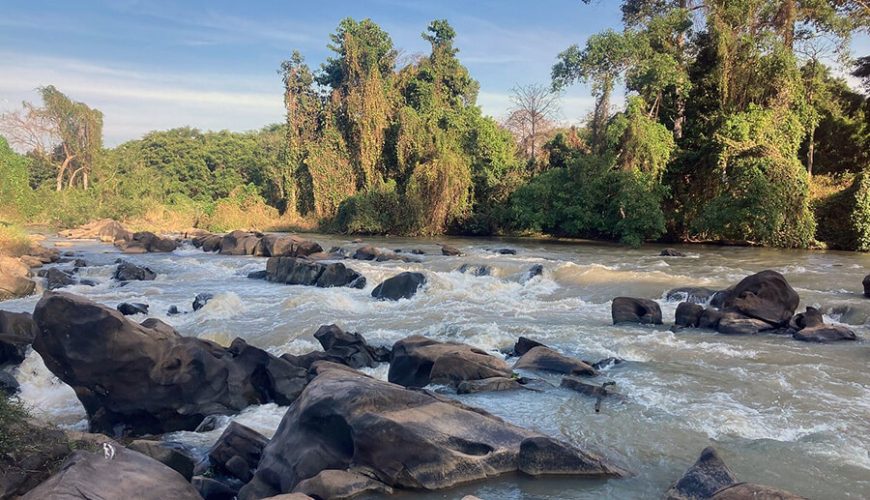 Yok Don National Park