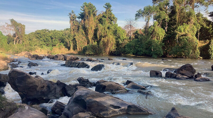 Yok Don National Park