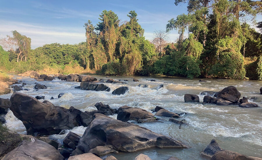 Yok Don National Park