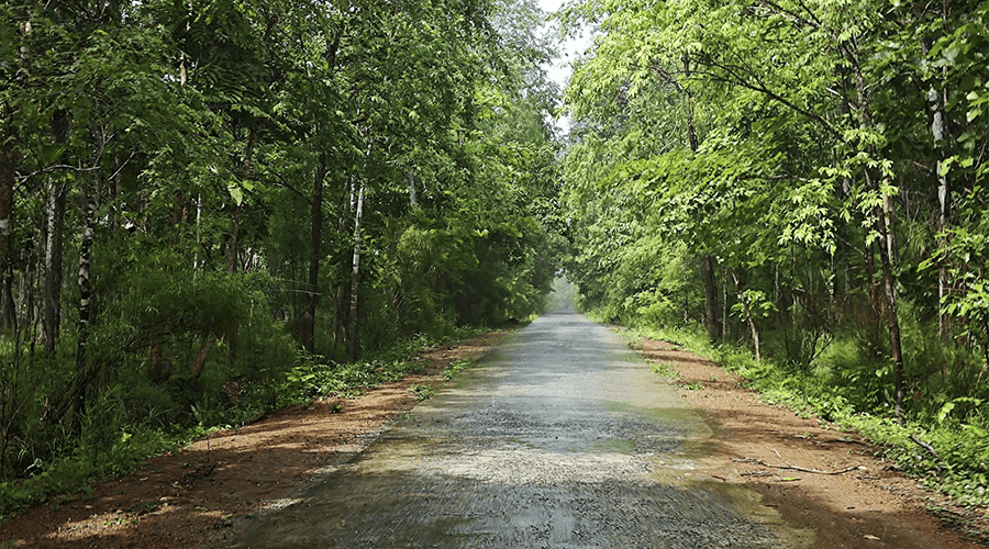 Yok Don National Park
