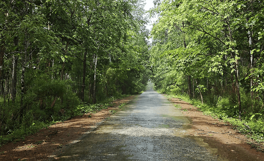 Yok Don National Park