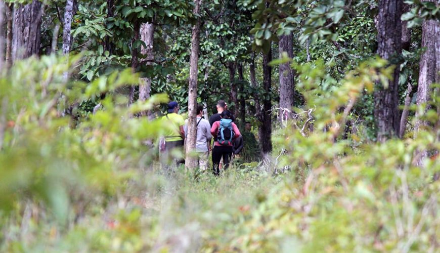 Yok Don National Park