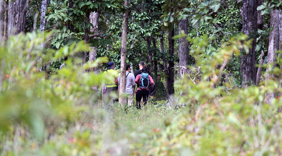 Yok Don National Park