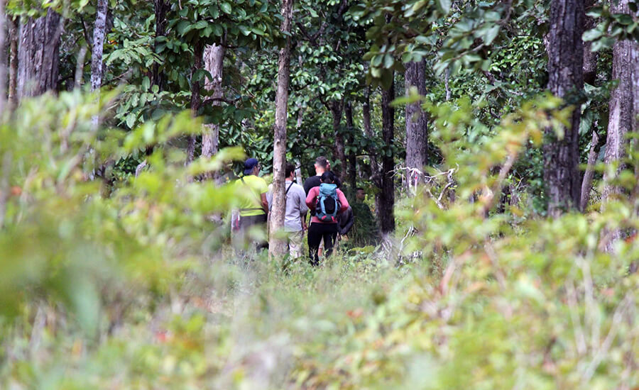 Yok Don National Park