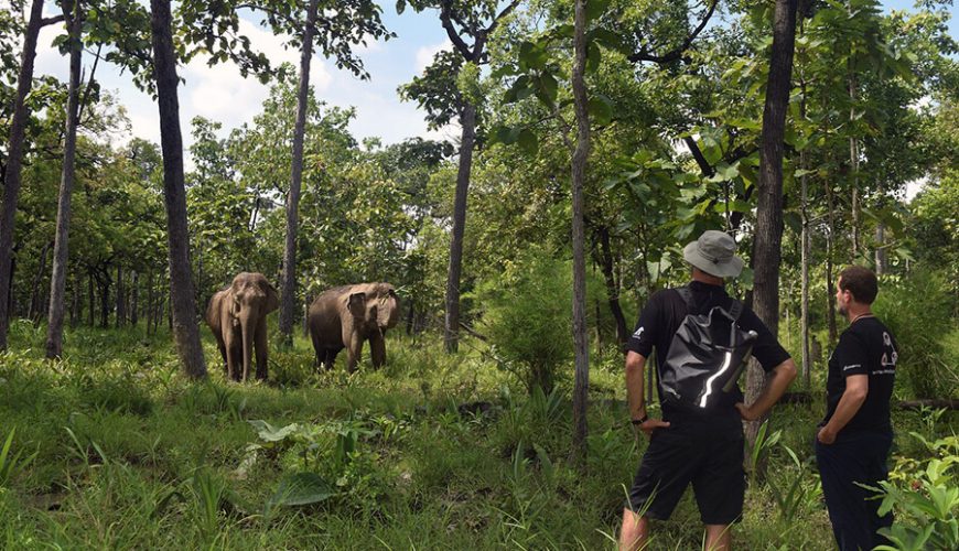 Yok Don National Park