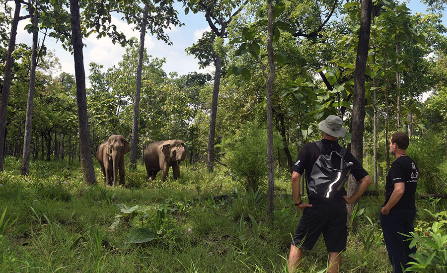 Yok Don National Park