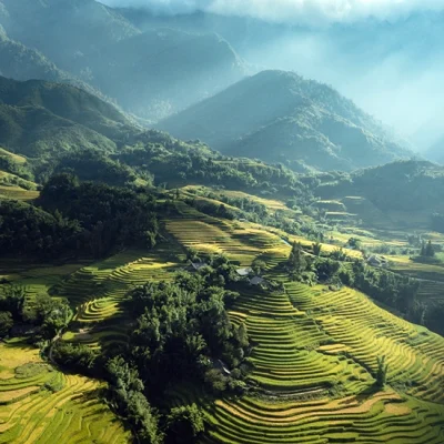 Sapa