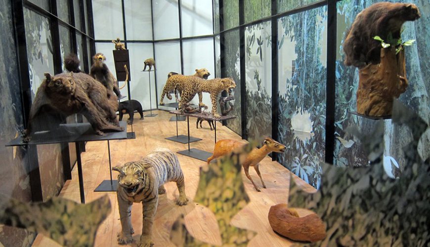 Dak Lak Museum