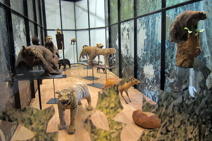 Dak Lak Museum