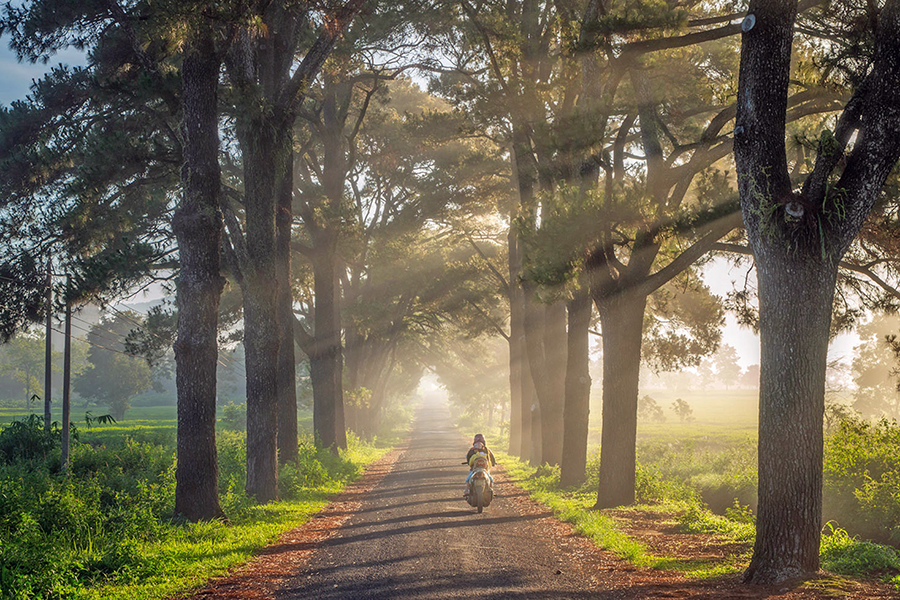 explore Pleiku