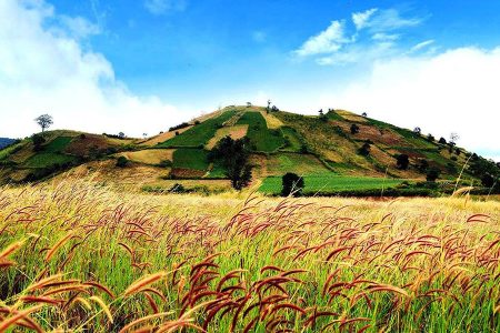 explore Pleiku