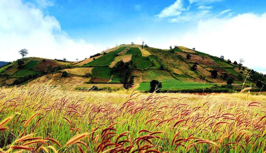 explore Pleiku