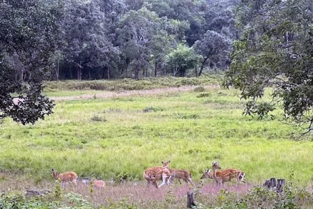 Kon Ka Kinh National Park