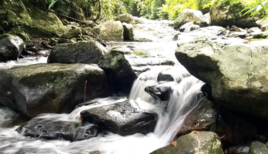 Kon Ka Kinh National Park