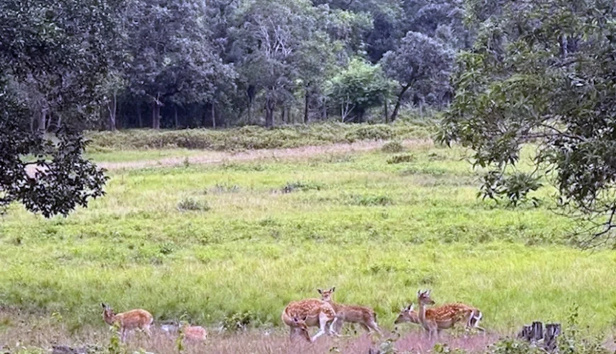 Kon Ka Kinh National Park
