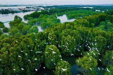 Thi Nai Lagoon