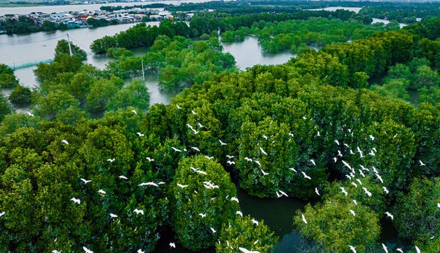 Thi Nai Lagoon