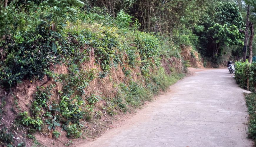 Moat and rampart ruins at Chau Sa Citadel