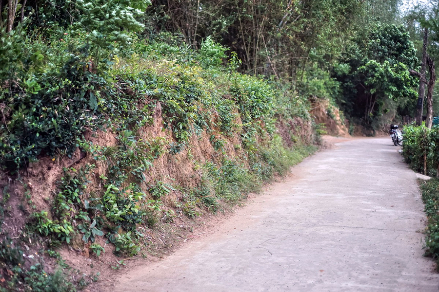 Moat and rampart ruins at Chau Sa Citadel