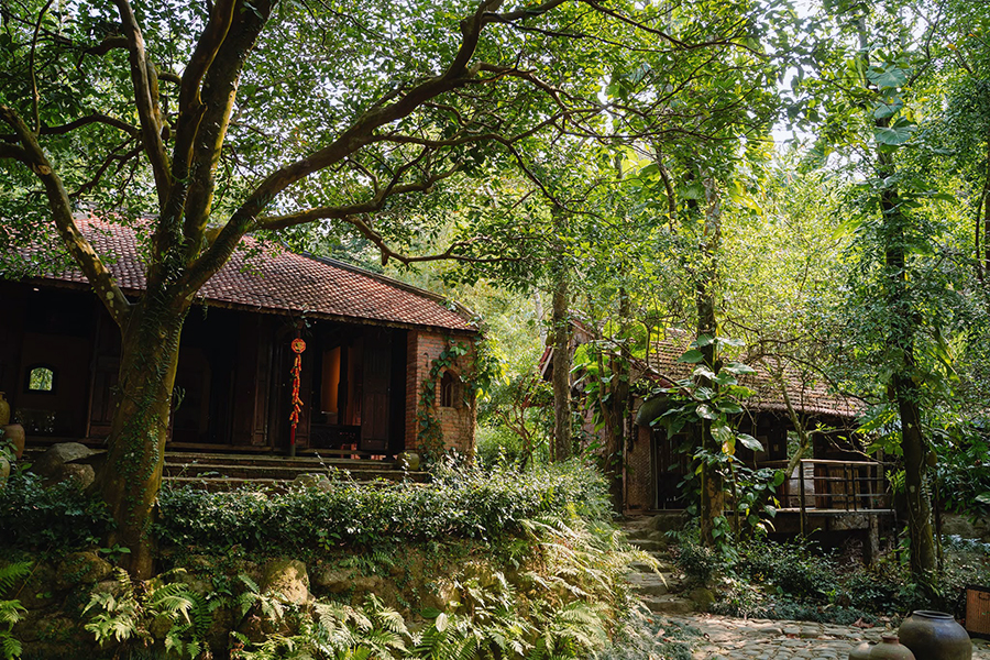 Dong Dinh Museum in Da Nang