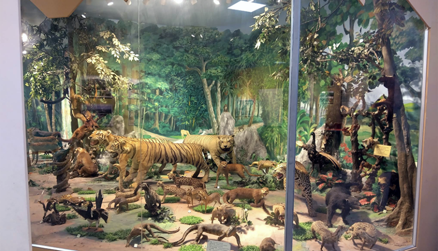 Kon Tum Museum