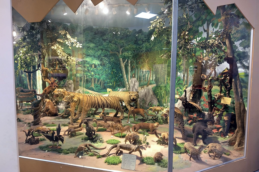 Kon Tum Museum
