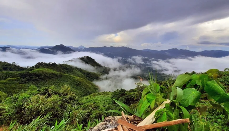 Ngoc Linh Mountain