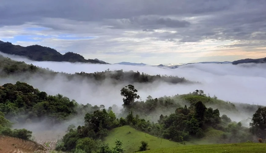 Ngoc Linh Mountain