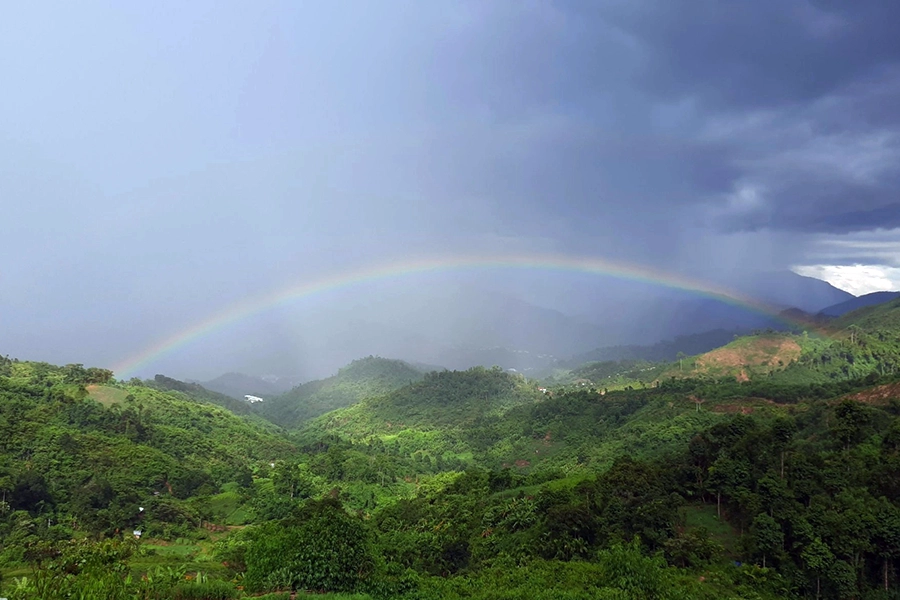 Ngoc Linh Mountain
