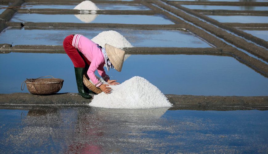 Sa Huynh salt fields