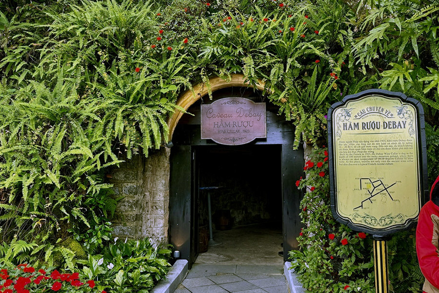 Debay Wine Cellar