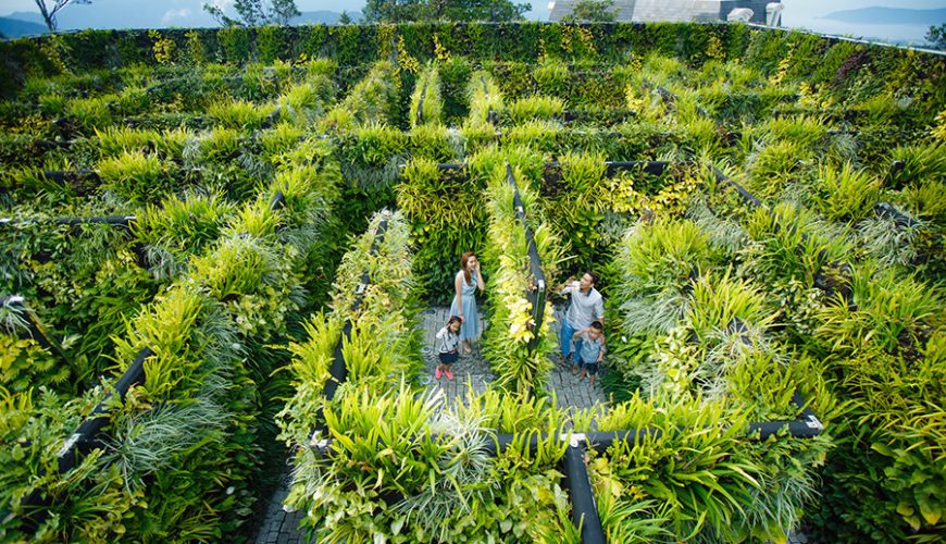 Le Jardin d’Amour Flower Garden
