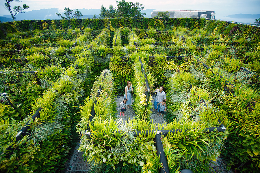 Le Jardin d’Amour Flower Garden