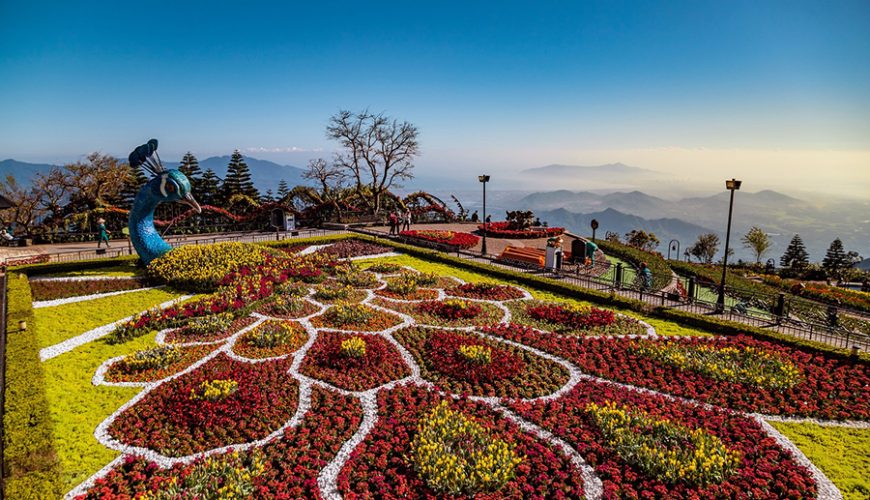 Le Jardin d’Amour Flower Garden