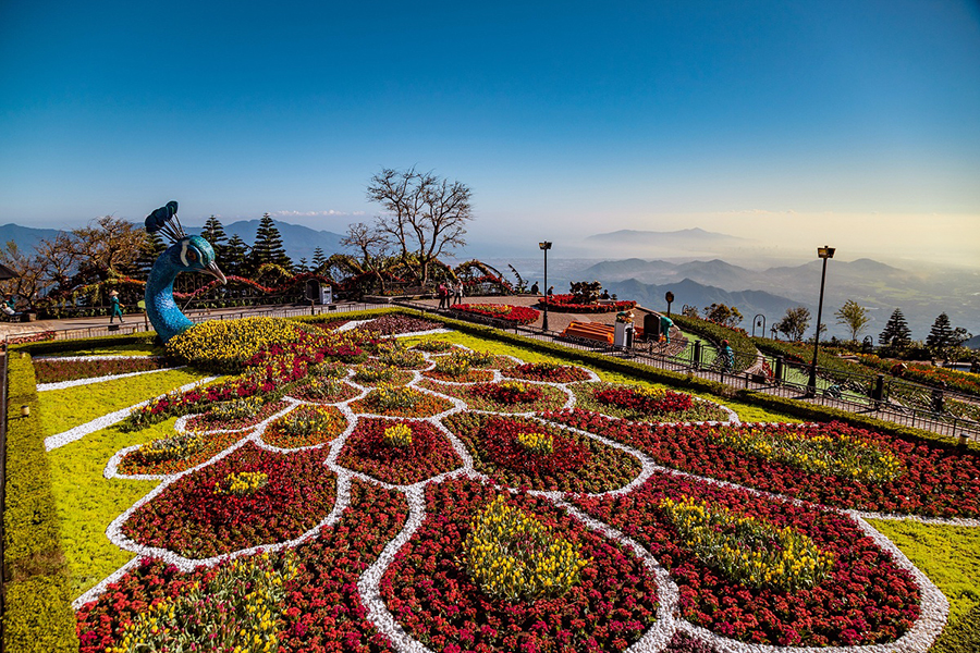 Le Jardin d’Amour Flower Garden