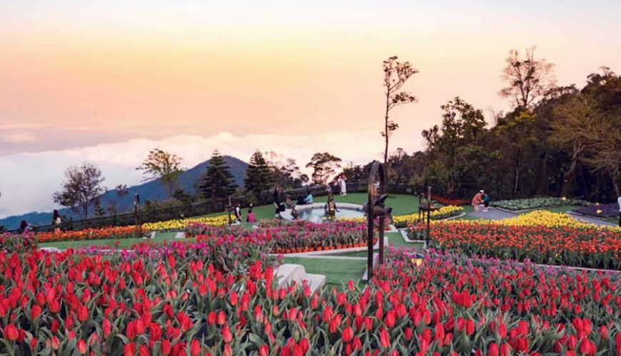 Le Jardin d’Amour Flower Garden