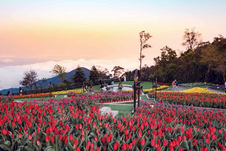 Le Jardin d’Amour Flower Garden