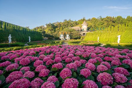 Le Jardin d’Amour Flower Garden