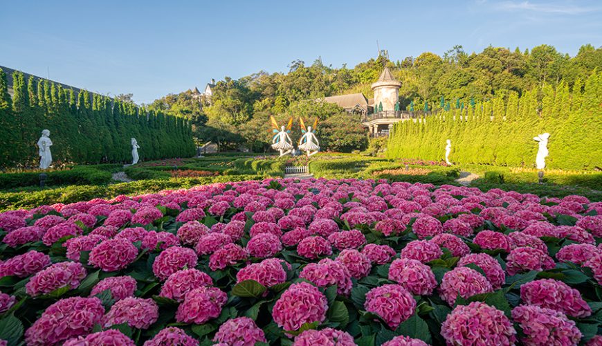 Le Jardin d’Amour Flower Garden