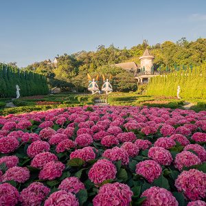 Le Jardin d'Amour flower garden 